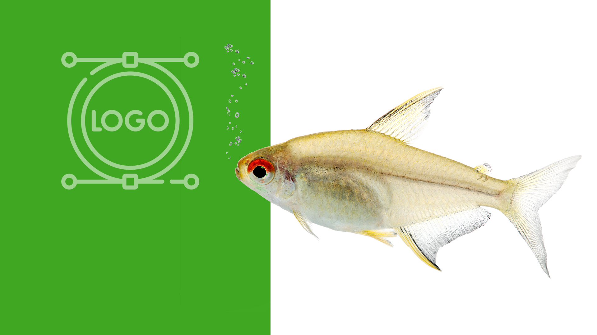 Company logo Company logo