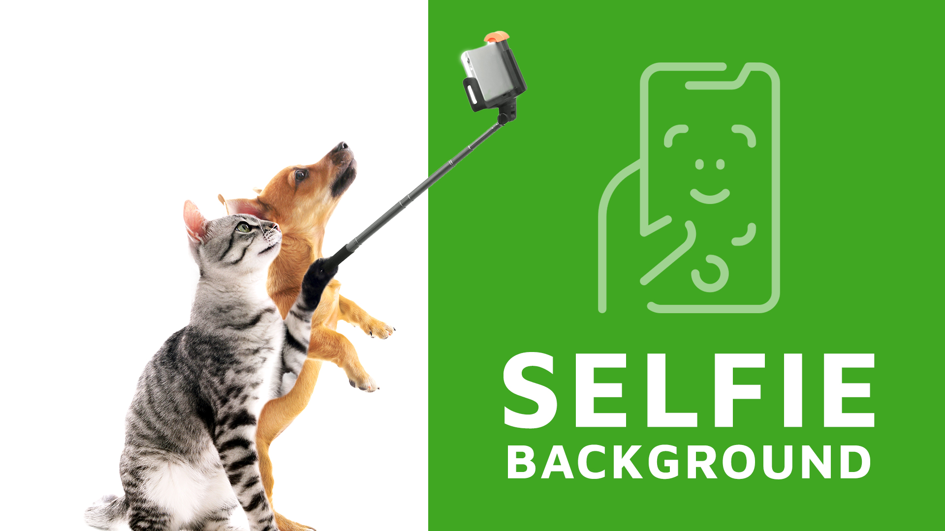 Selfie camera background in the App