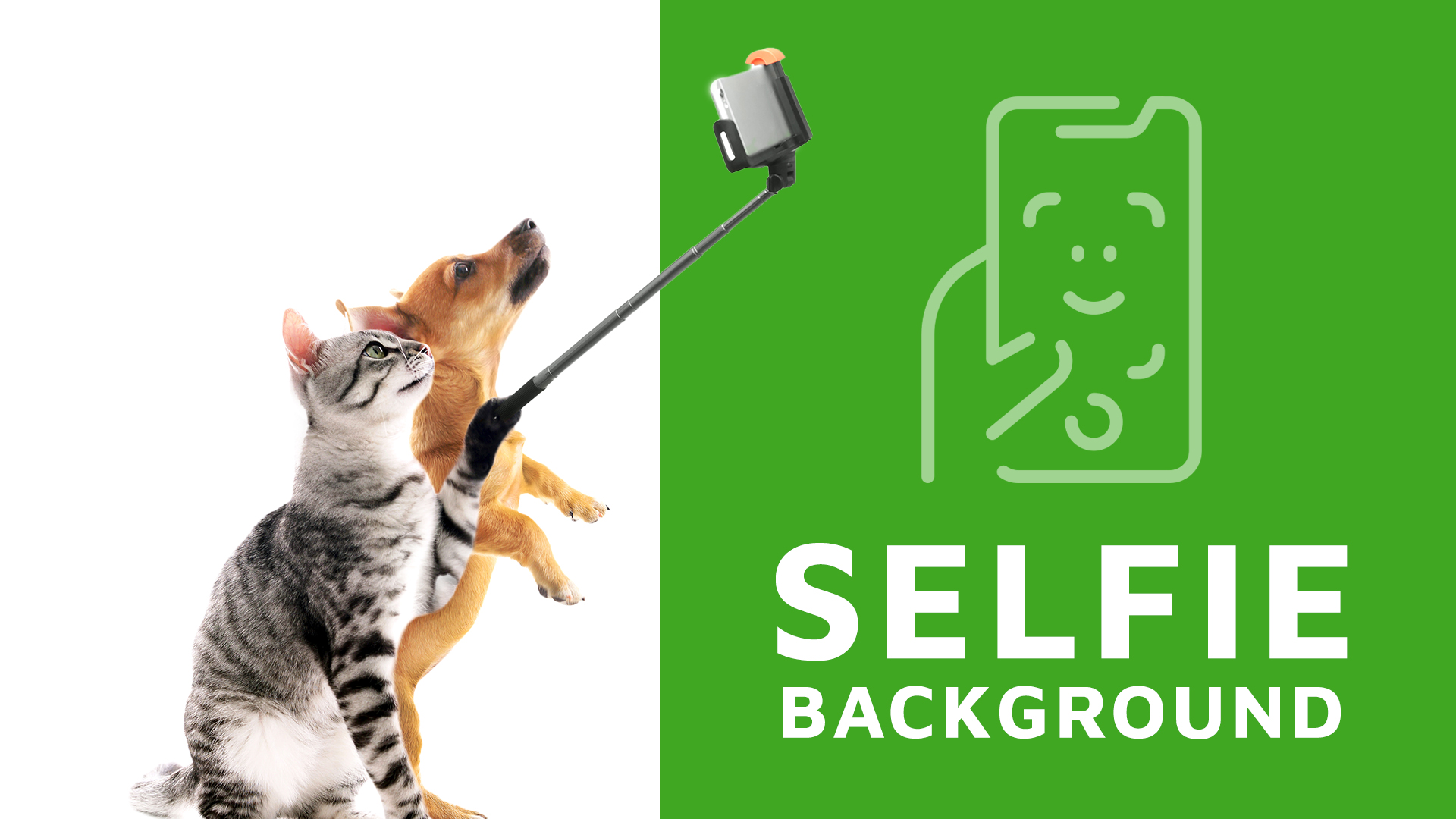 Selfie camera background in the App Selfie camera background in the App