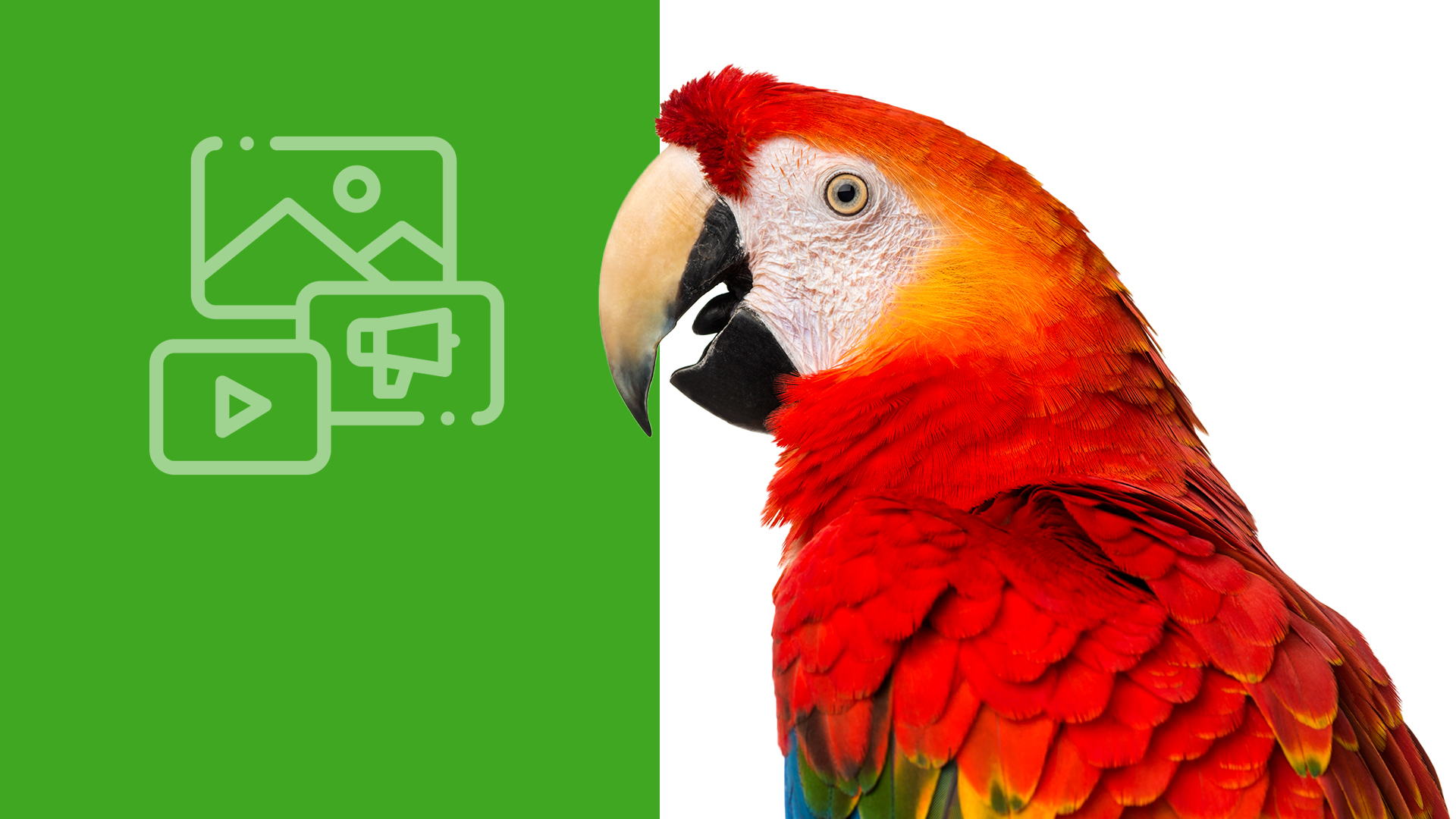 Multimedia 2024 Multimedia 2024