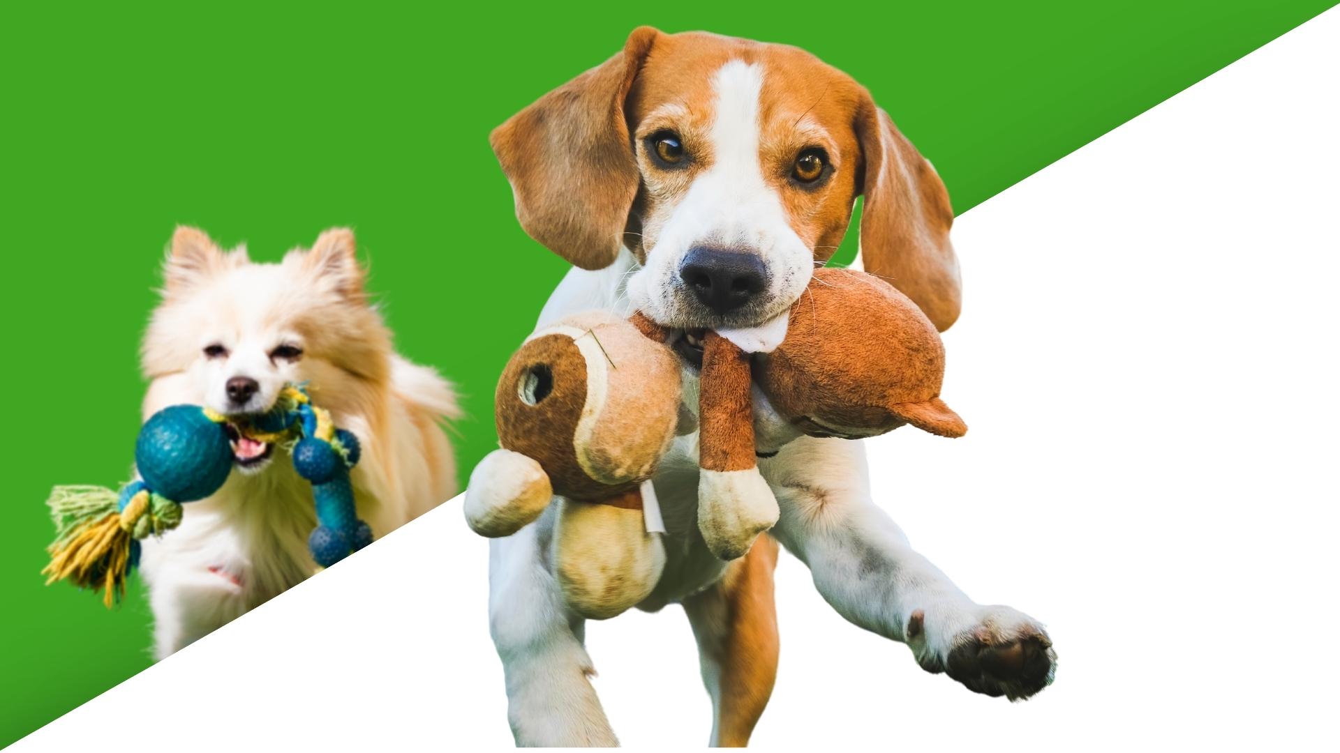 Product entry Product entry